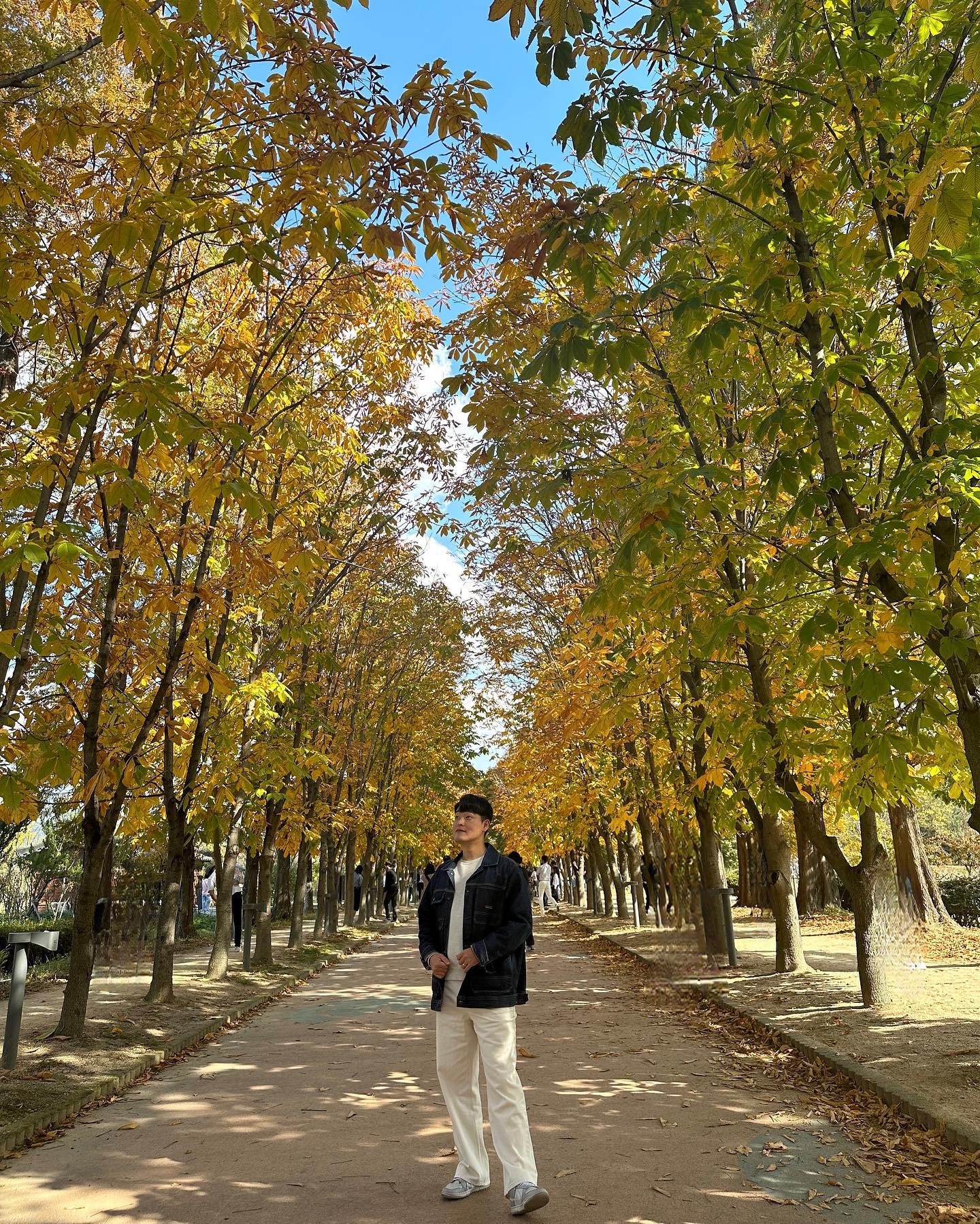 ⠀
가을 🍂🍁
⠀
⠀
#경주 #천년숲정원 #단풍명소
#이쁘니 #하나랑 #가을여행