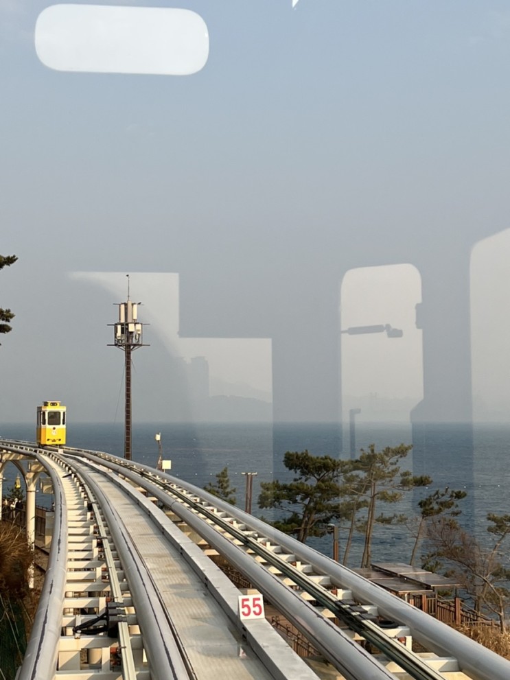 해운대 '미포~청사포' 캡슐열차 빨리 탑승하는 꿀팁! / 블루라인파크 예약방법