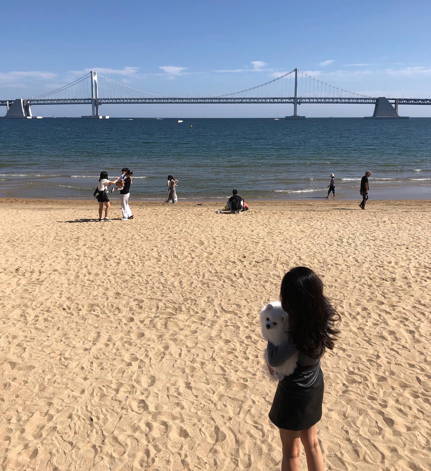 몽글이와 함께여서 더 행복했던 추석 여행🍂🤎
거제도부터 부산, 경주, 단양까지~ 행충완😶✨
.
.
.
.
마지막 영상은  장시간 이동으로 인해 더이상 “걸포공원” 단어에도 반응하지 않는 몽글