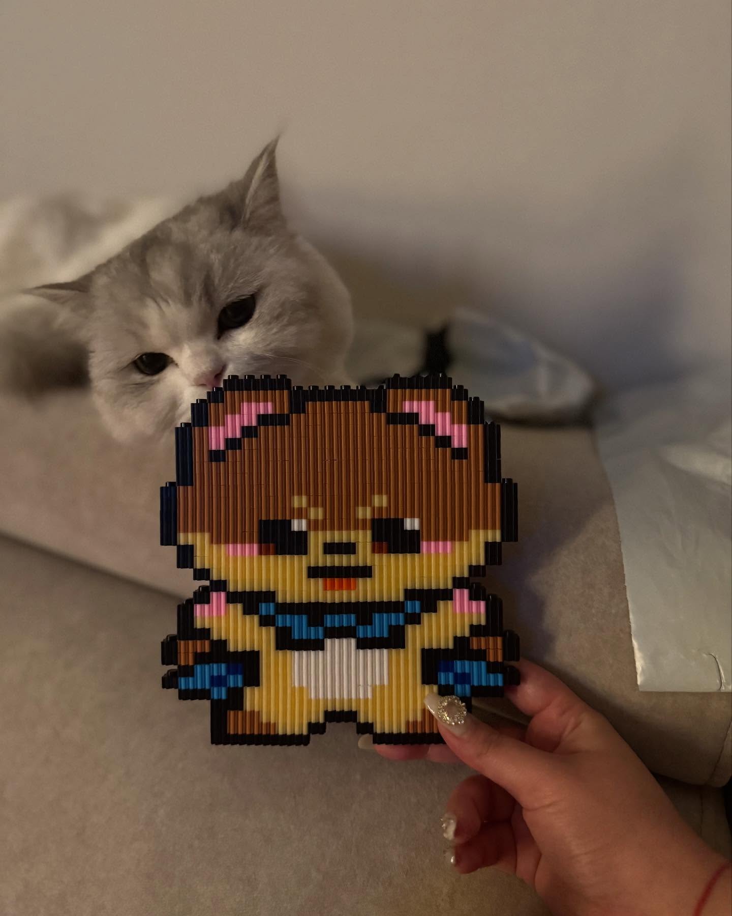 겸둥이