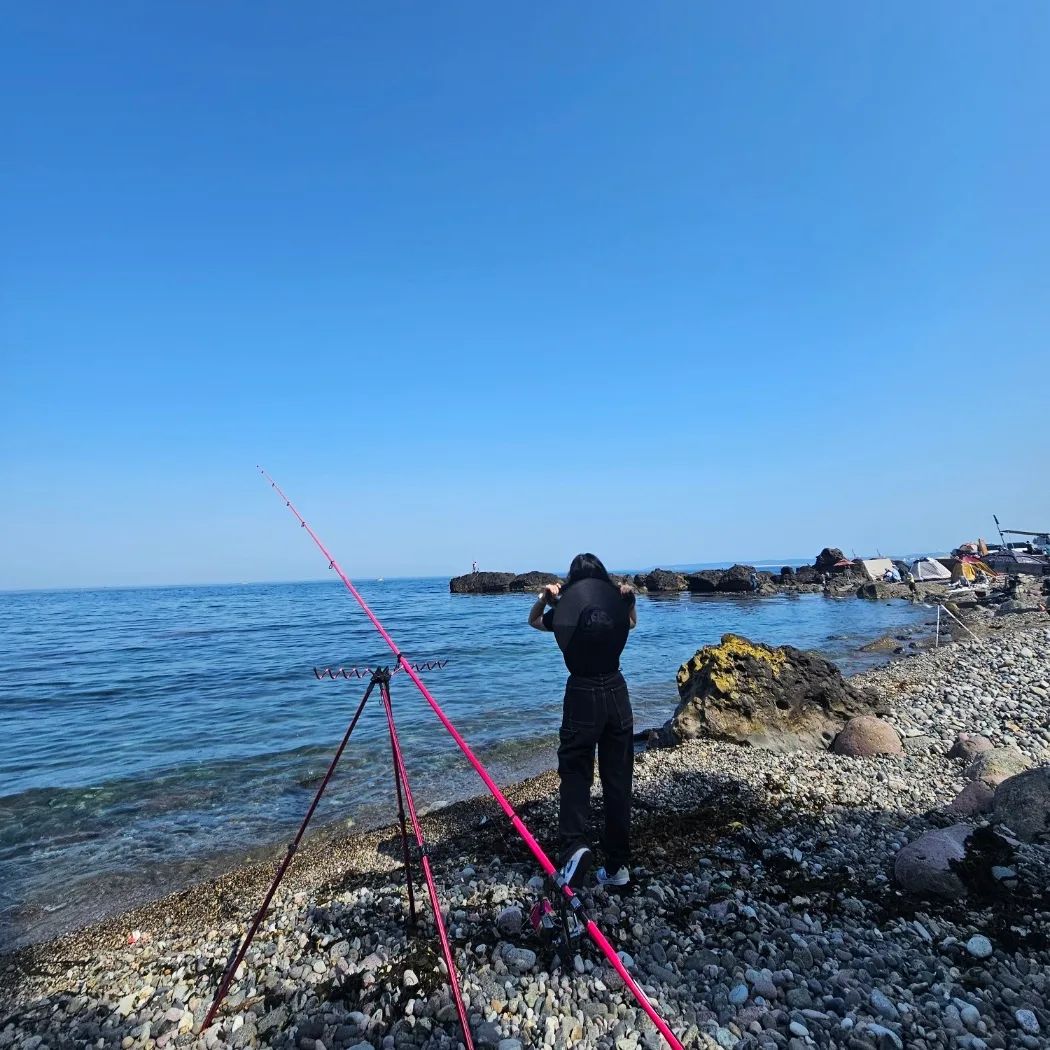 날 위해 샀다는 원투 낚시대와 릴 첫개시🎣

날씨도 완벽하고 한적하니 딱 좋구만 ❤️

#유정낚시 #유정낚시대 #시마노1060 #시마노릴