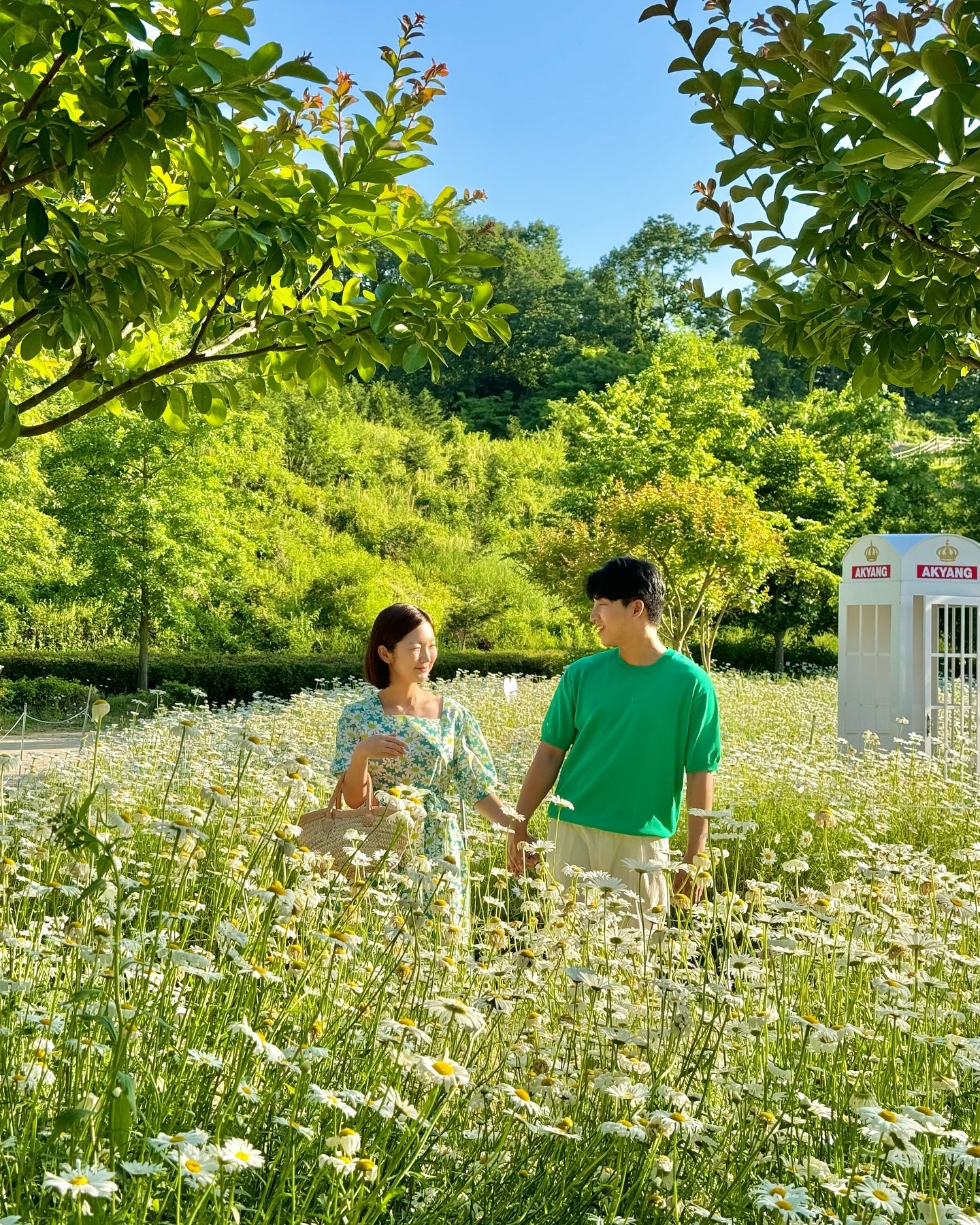 흰자,노른자 온통 계란후라이 세상🤍💛
일찍 가도 해질때 가도 사람들 바글바글 땡볕이지만
예쁘긴 예쁘네💚
⠀
⠀
⠀
#함안여행 #악양생태공원 #함안악양생태공원 #샤스타데이지 #샤스타데이지명소 #금계국 #금계국명소
