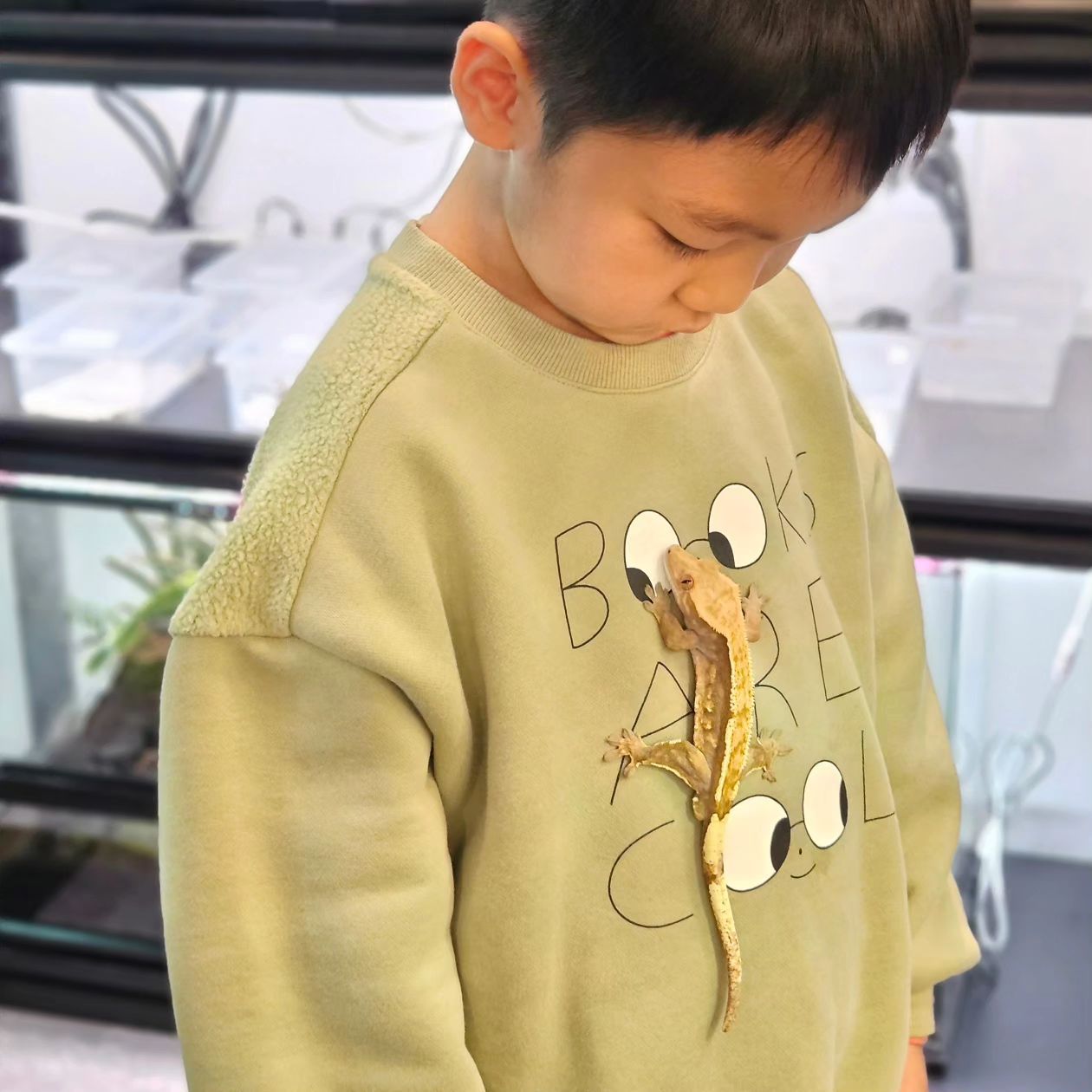 도마뱀도 만져보고 거북이도 만져보고
집근처에 이런곳도 있었네? 
입장료도없구 조용해서 좋네
또가야디
.
.
#중랑구카페 #도마뱀카페 #중화역카페 #작은지구
#게코 #아이랑카페 

 mini___earth