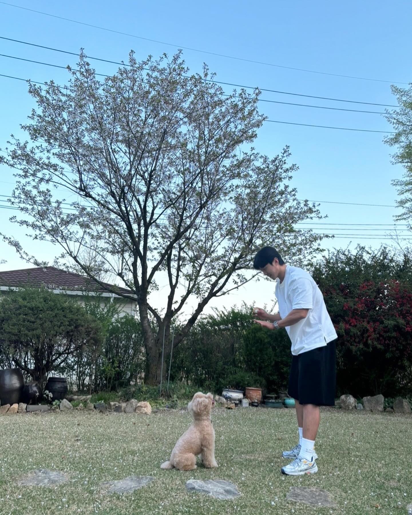 모요