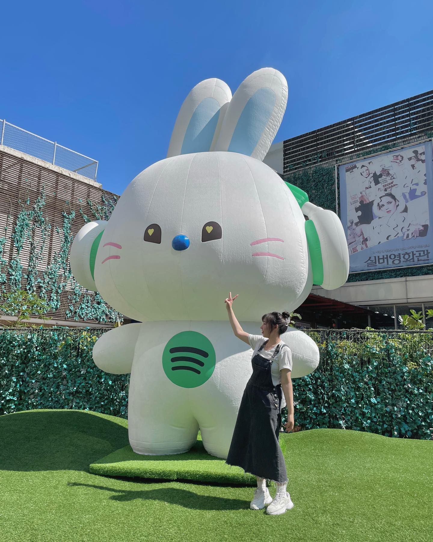 💚🐰🙈
