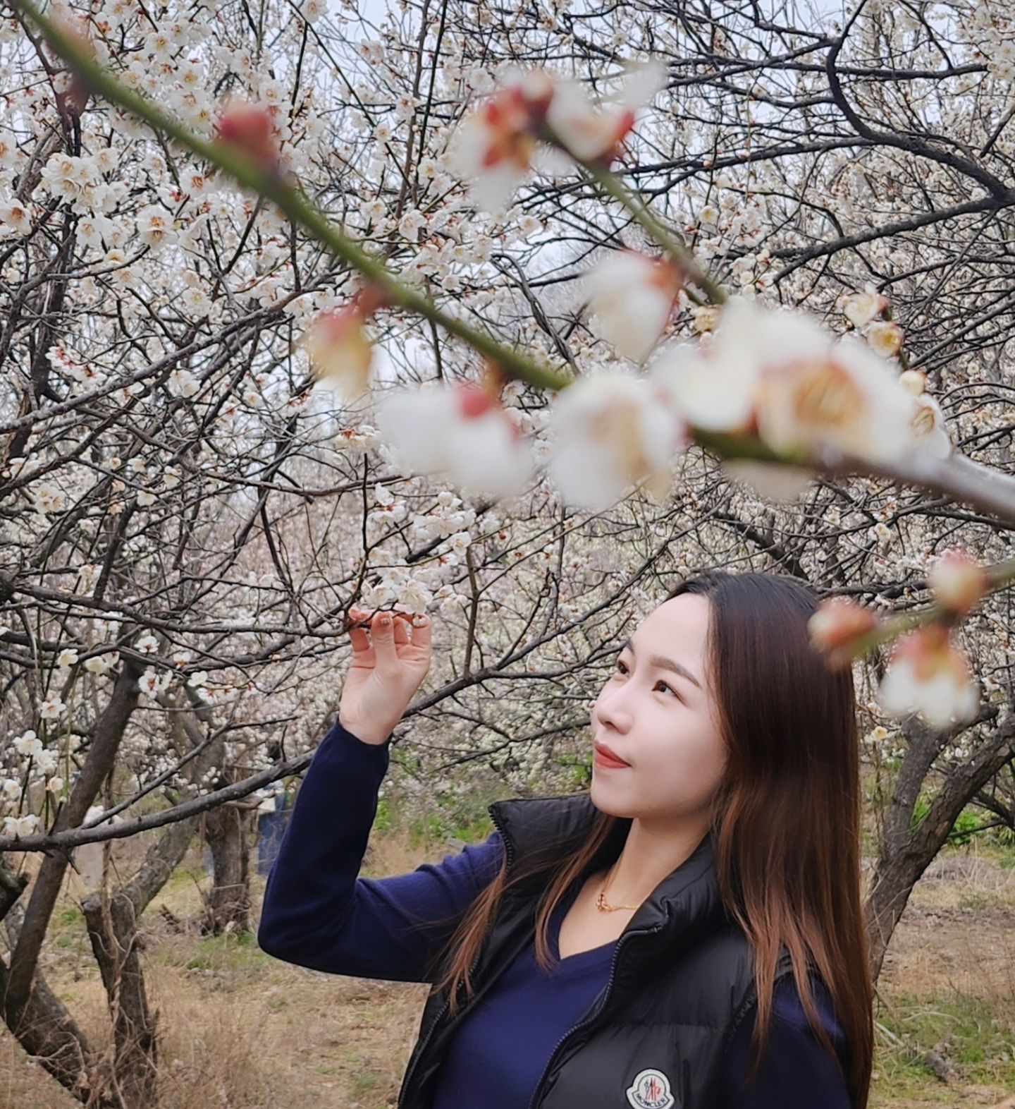 후다닥 놀러온 #원동매화축제 
평일 월요일에도 사람들이 정말 많아요...!!🌸🌸🌸

올해는 순매원 개방하지 않아서,
근처로 산책만 가능!! 

🪧 경남 양산시 원동면 원동로 1421 
검색후, 근처 주차장에 주차하면 끝 !!

날씨 풀리는 지금 후딱 다녀오길 추천🏃🏻‍♀️🏃🏻‍♀️

#원동 #매화축제 #순매원 #원동순매원 #원동매화마을