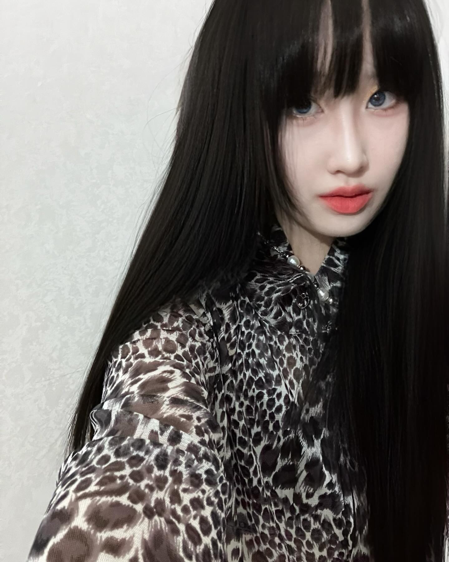 콘텐츠