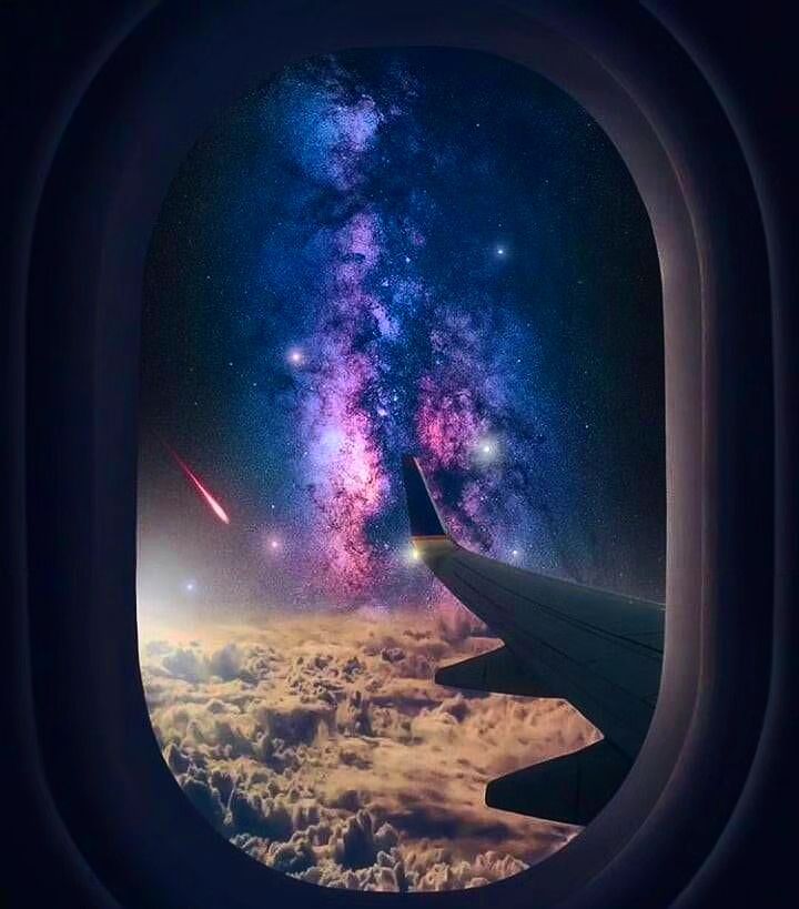 콘텐츠