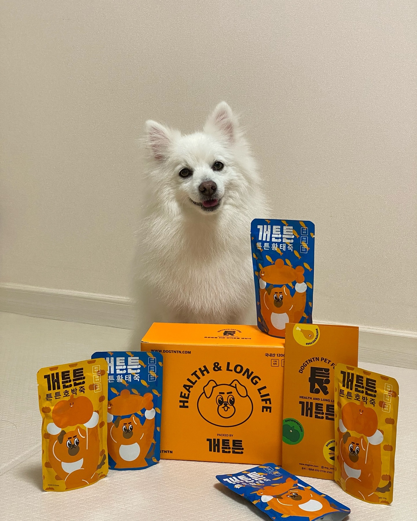 x dog_tntn #협찬
개튼튼에서 강아지 보양죽을 보내주셨어요🧡 
 
무방부제는 물론, 신선한 국내산 식재료만을 사용하여 
칼로리와 염분은 낮추고 영양은 높인 튼튼죽!💪🏻
초고온 멸균법으로 높은 보존력과 긴 유통기한을 자랑해요 !

실온 보관이라 데우지 않아도 되서 급여가 편리한데다 
기호성이 높아 입맛이 까다로운 친구들도 OK! 

닭육수를 베이스로 한 호박죽과 황태죽 각 5팩씩 
한 박스에 10팩이 들어있어 선물용으로도 아주 좋아요🎁	
*한 가지 맛으로도 선택 가능 

#강아지보양식 #강아지죽 #강아지영양식 #강아지특식 #개튼튼 #튼튼죽