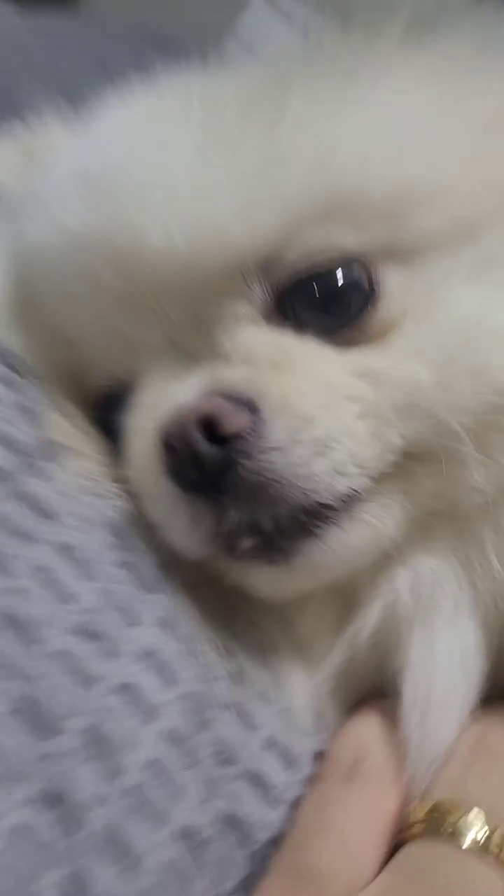 이렇게 하는거 맞음?