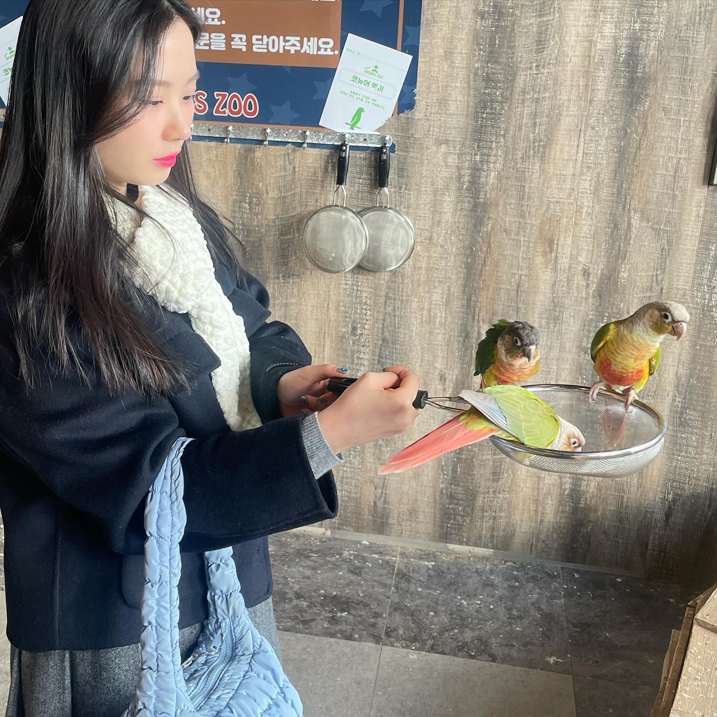 제일 느낌 좋았던 칭구는 보아뱀...❣️🐍🐍
