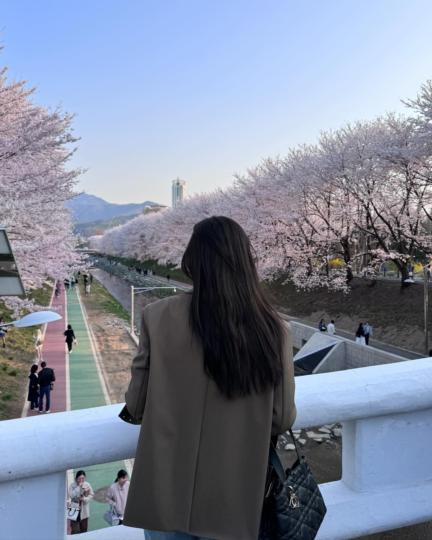 친구랑 #양재천벚꽃길  다녀왔는데
벚꽃이 진짜 만개했네요🩷🌸

이번주가 절정일것같아요
주말데이트 여기가세용🧚🏻
