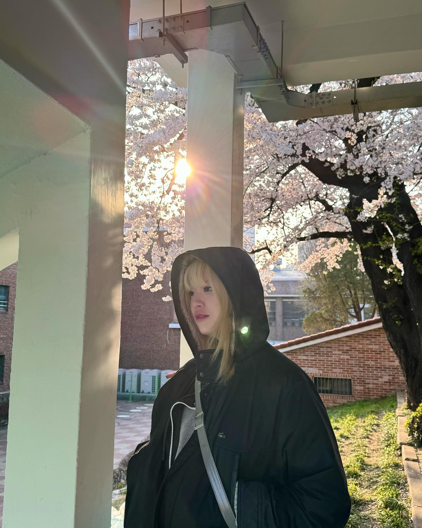 봄치곤 꽤나 무채색 코디 🌸 노력한거다 그래도

.

.

#봄 #벚꽃 #벚꽃나들이 #봄나들이 #빈티지 #벚꽃명소 #봄데이트 #벚꽃놀이 #벚꽃스냅 #벚꽃구경 #패션코디 #패션계정소통 #패션계정환영 #패션소통 #오오티디 #데일리패션 #여자코디 #봄코디 #ootd #dailyfashion #spring #kakura #dailypost #vintage #vintagestyle #vintageclothing