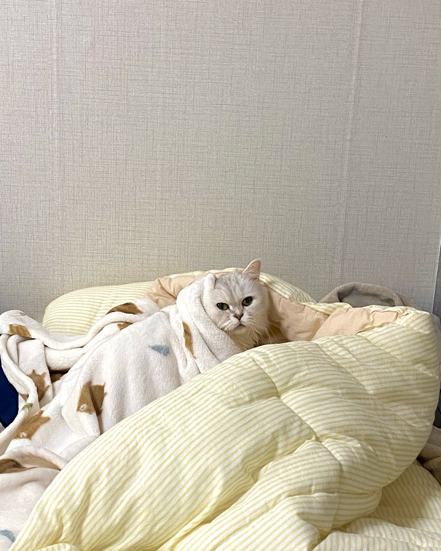왜이러케 기여웅건데 ㅠ😖