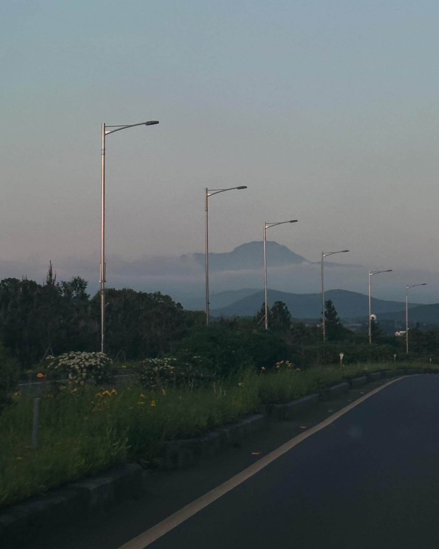 콘텐츠
