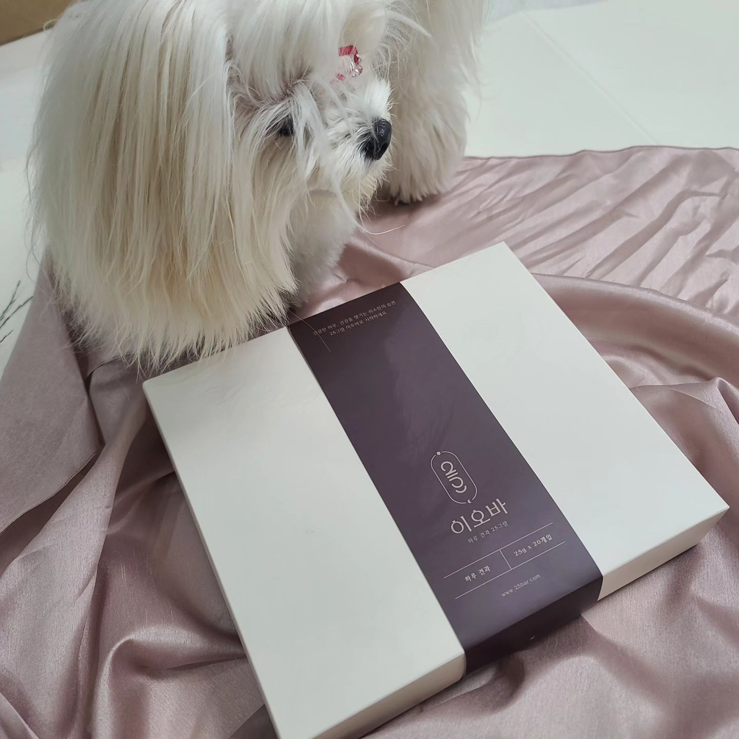 엄마 일하지 말라는 토 방해꾼