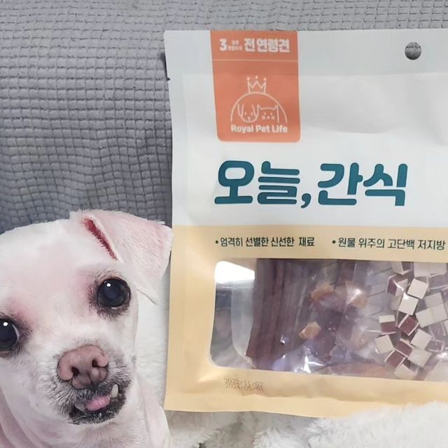 홍이 on Instagram: "#협찬 ▶️로얄펫라이프 강아지 오늘간식 오리믹스 수술&입원을 앞두고 있는 솜이에게 🐶 집에있는동안 맛있고 더 몸에 좋은 간식만 주고싶은 집사의 마음을 담은 강아지