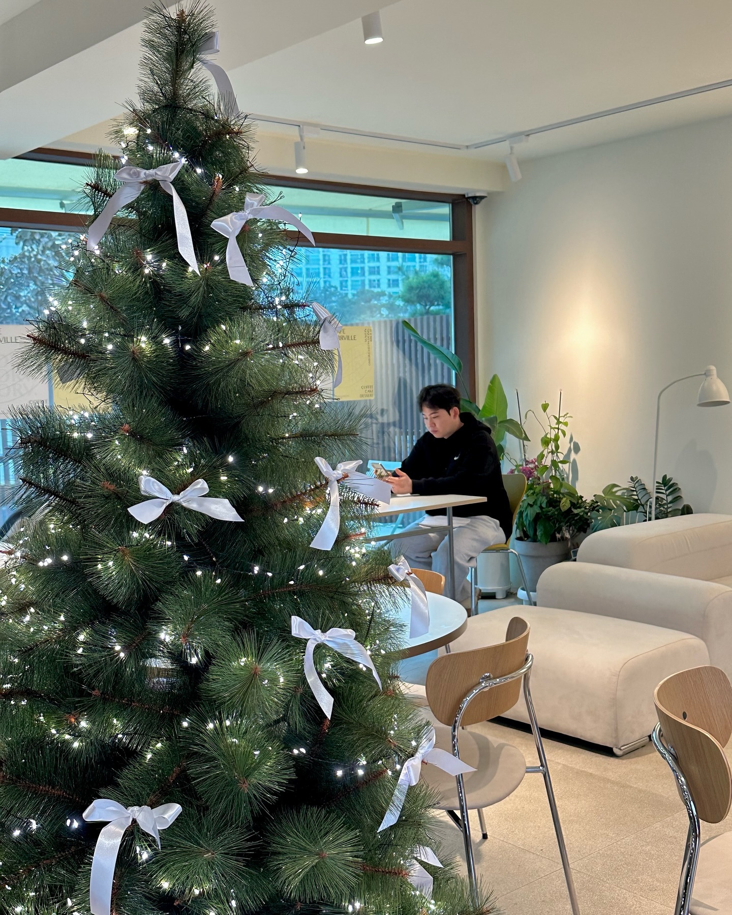 집순이라 몇일전에 처음으로 캐롤 들었다
이제서야 실감나는 12월🎄