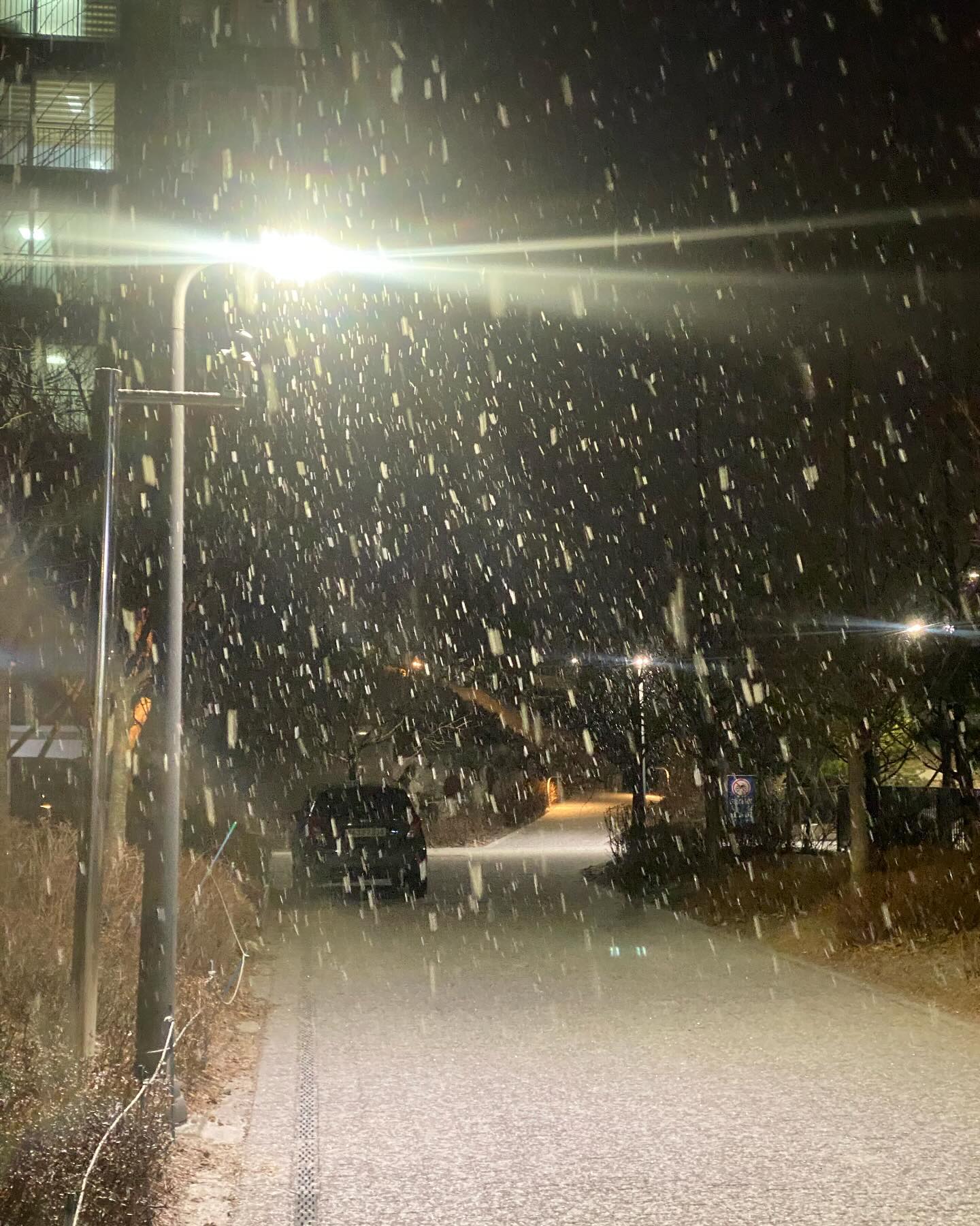 눈이다~!~!~! ❄️❄️❄️🩵

#05 #05년생 #여고딩 #곧성인 #19 #18 #12월 #december #snow #눈 #문예창작과 #문창과 #극작과 #운문 #산문 #작문 #글쓰기 #시 #소설 #연말 #경기 #군포 #산본 #의왕 #범계 #안양 #금정 #집가는길 #귀가길 #waybackhome