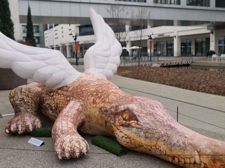 ❤️

엄마랑 데이트.
83세에 탁구치고 아웃도어룩을 즐기는 엄마.
시대를 좀더 잘 만났다면 백패커가 되었을낀디ㅋ
#김포현대프리미엄아울렛