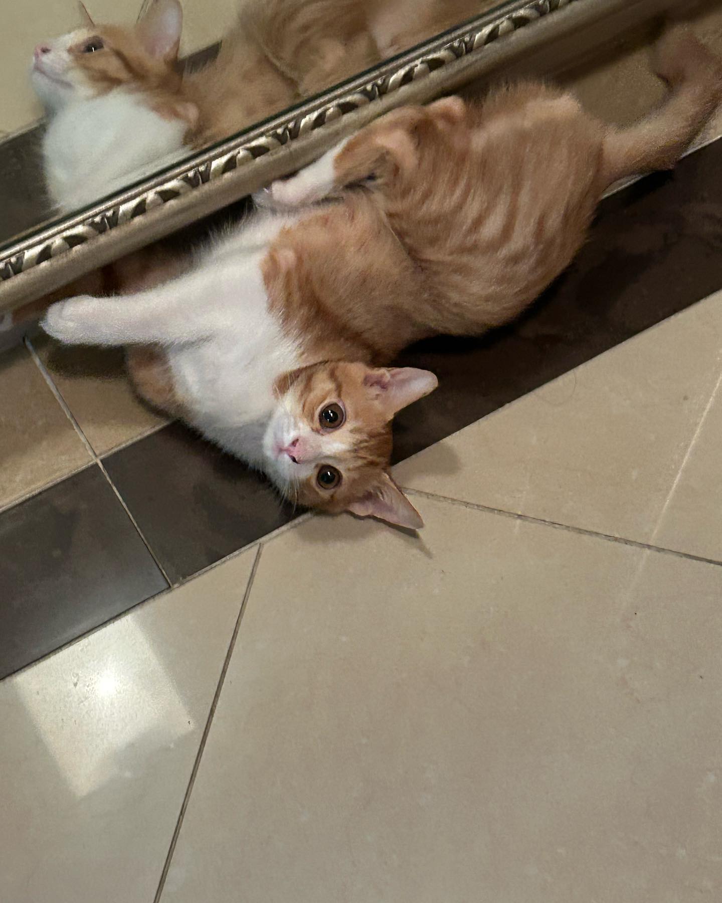 나불렀냥?!??!