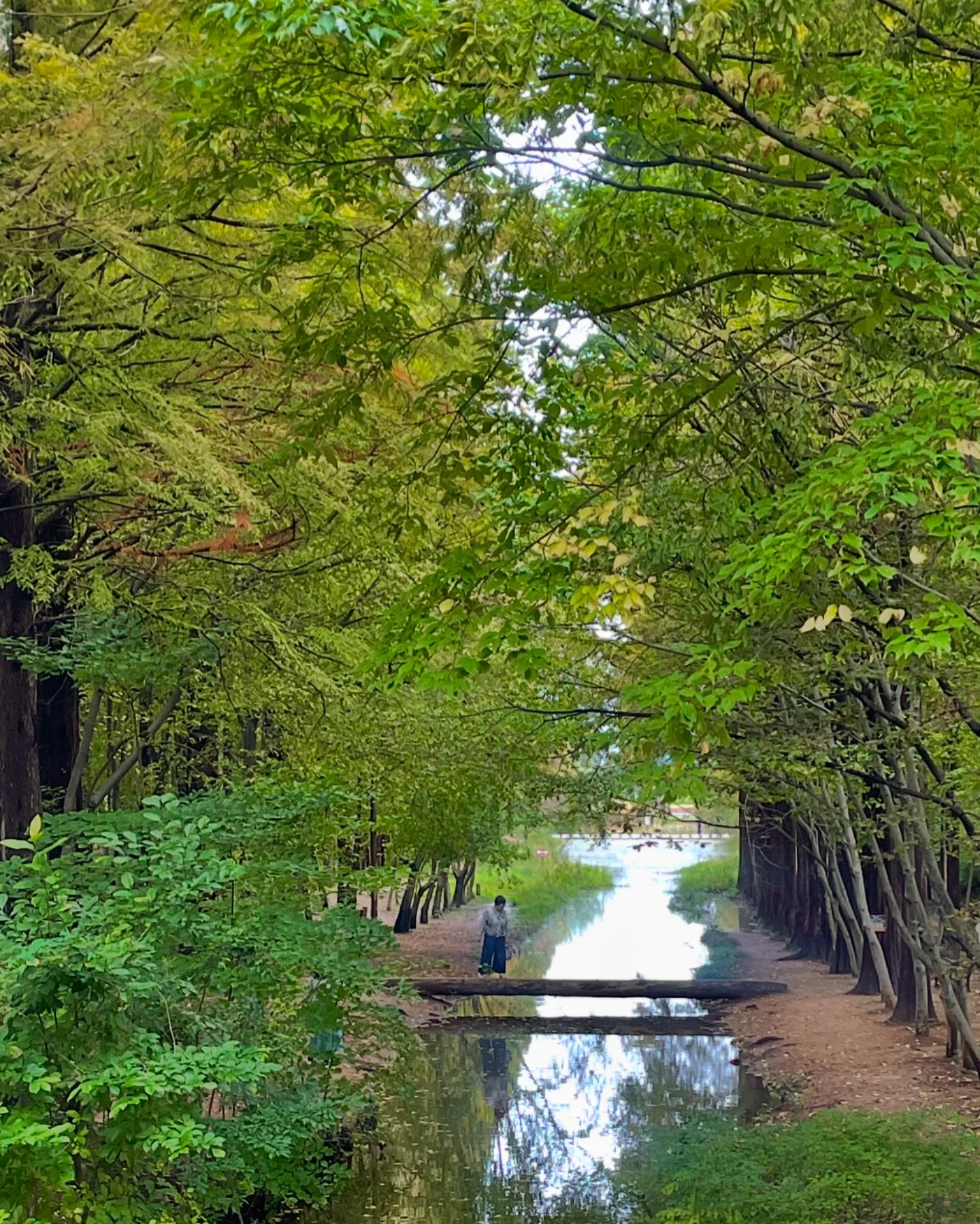 🌿🍃🍁🍂
#천년의숲길