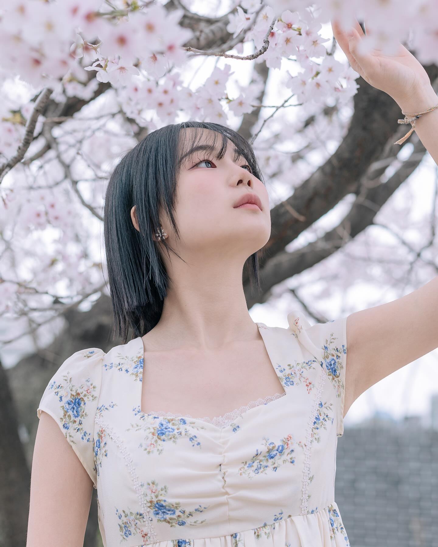 예쁘기두 하도라 ♪ 🌸