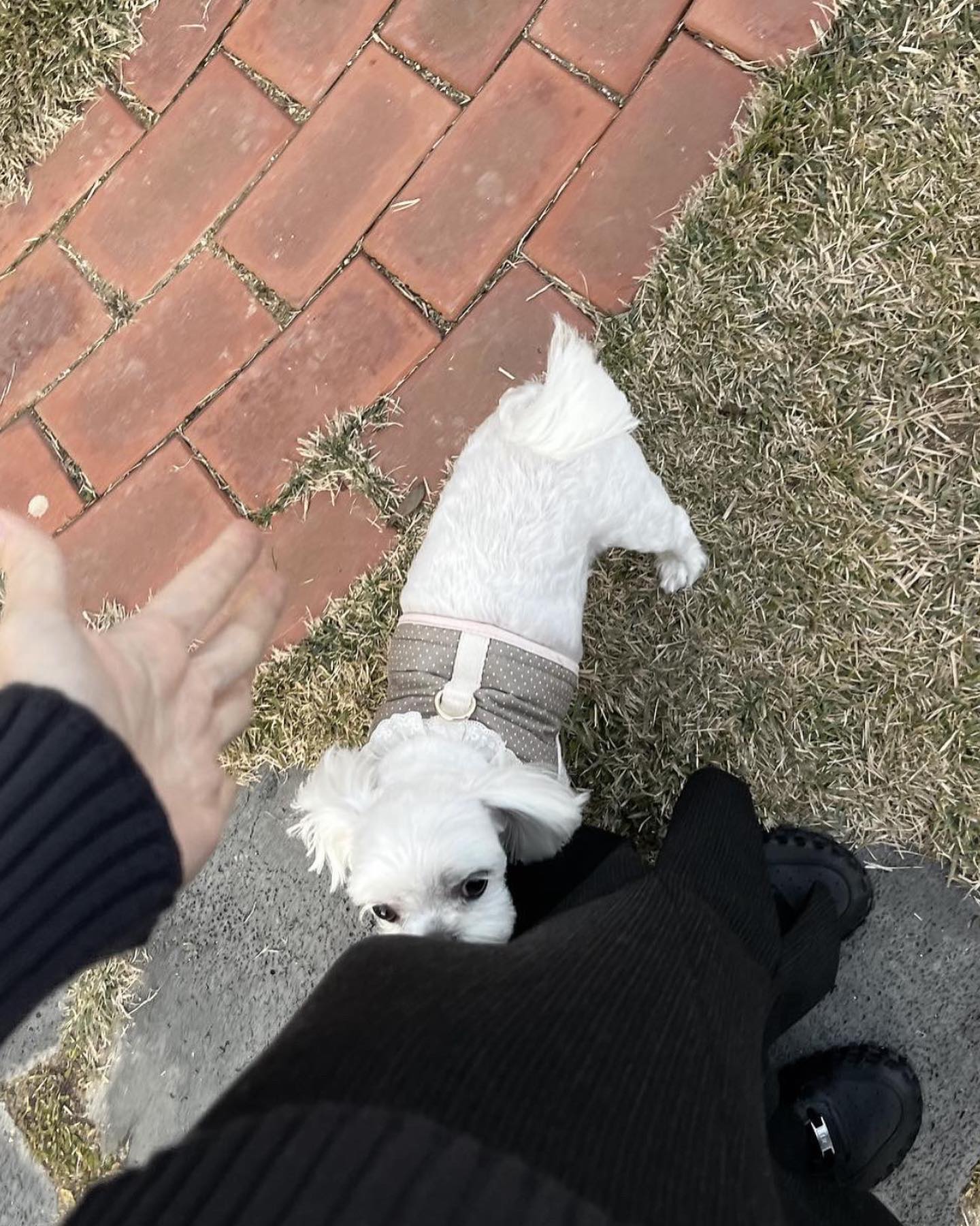 콘텐츠
