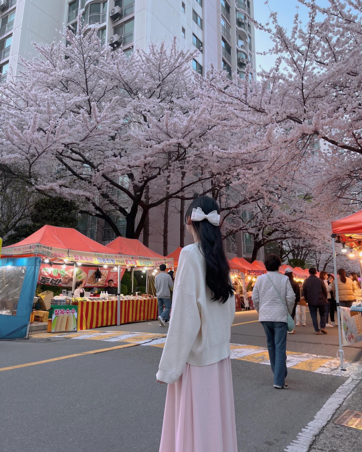 또 뒤늦게 올려보는 10개 꽉꽉 채운 벚꽃 아영이🌸🫶🏻
#벚꽃 #야시장