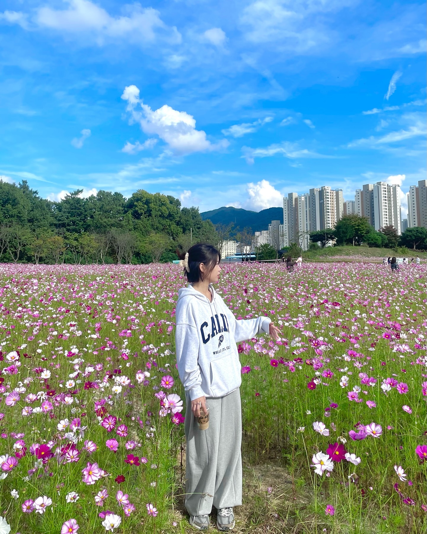🌸 ( ⸝⸝ɞ̴̶̷ ｡ ɞ̴̶̷ ⸝⸝) 🌸