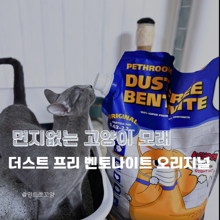 페스룸 더스트 프리 벤토나이트 오리지널 냄새잡는 고양이모래추천