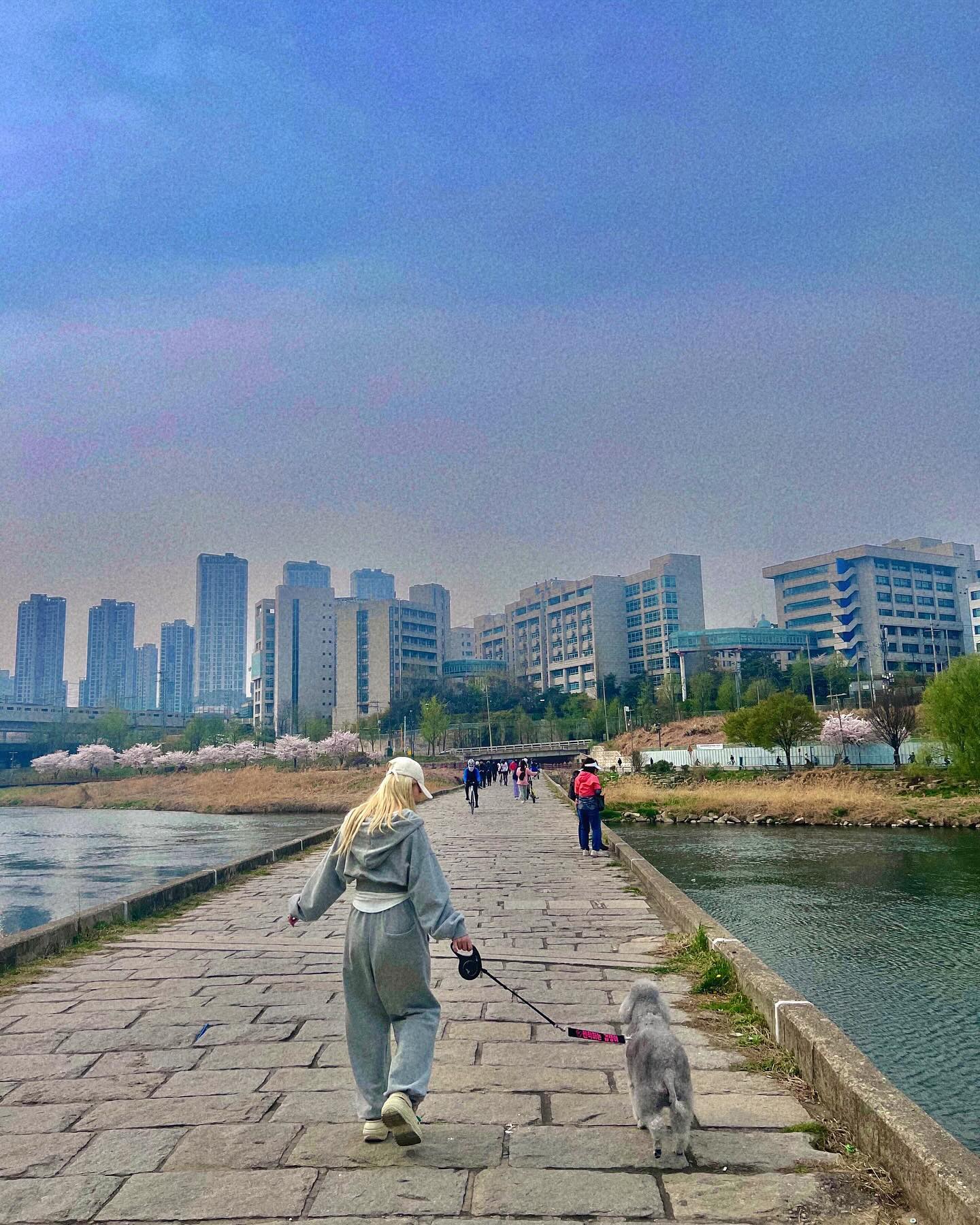 콘텐츠