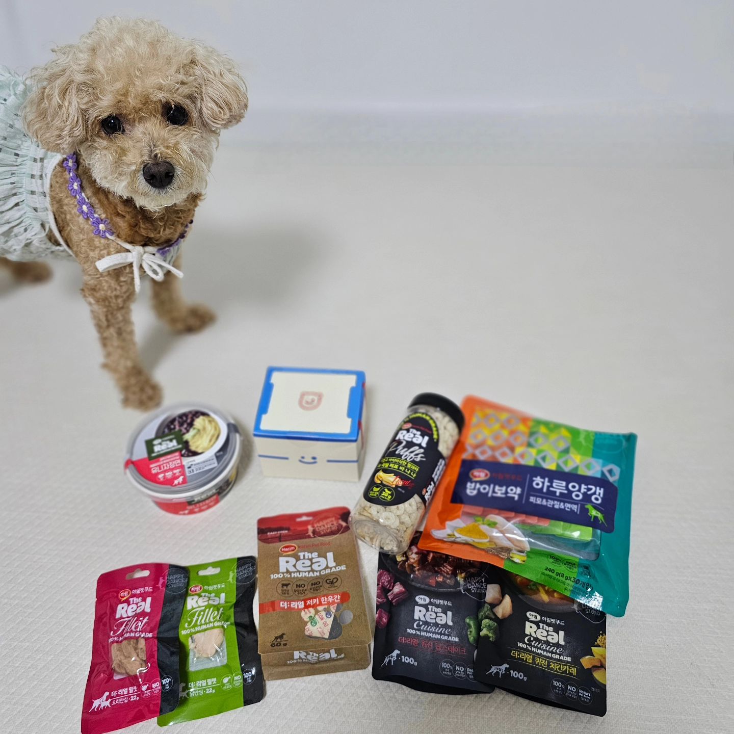 harimpetfood 에서 카드완성 이벤트 선물로 간식과 장난감 보내주심. 항상 믿고 먹는 간식이라 간식 챙겨서 강쥐 놀러간다🐕