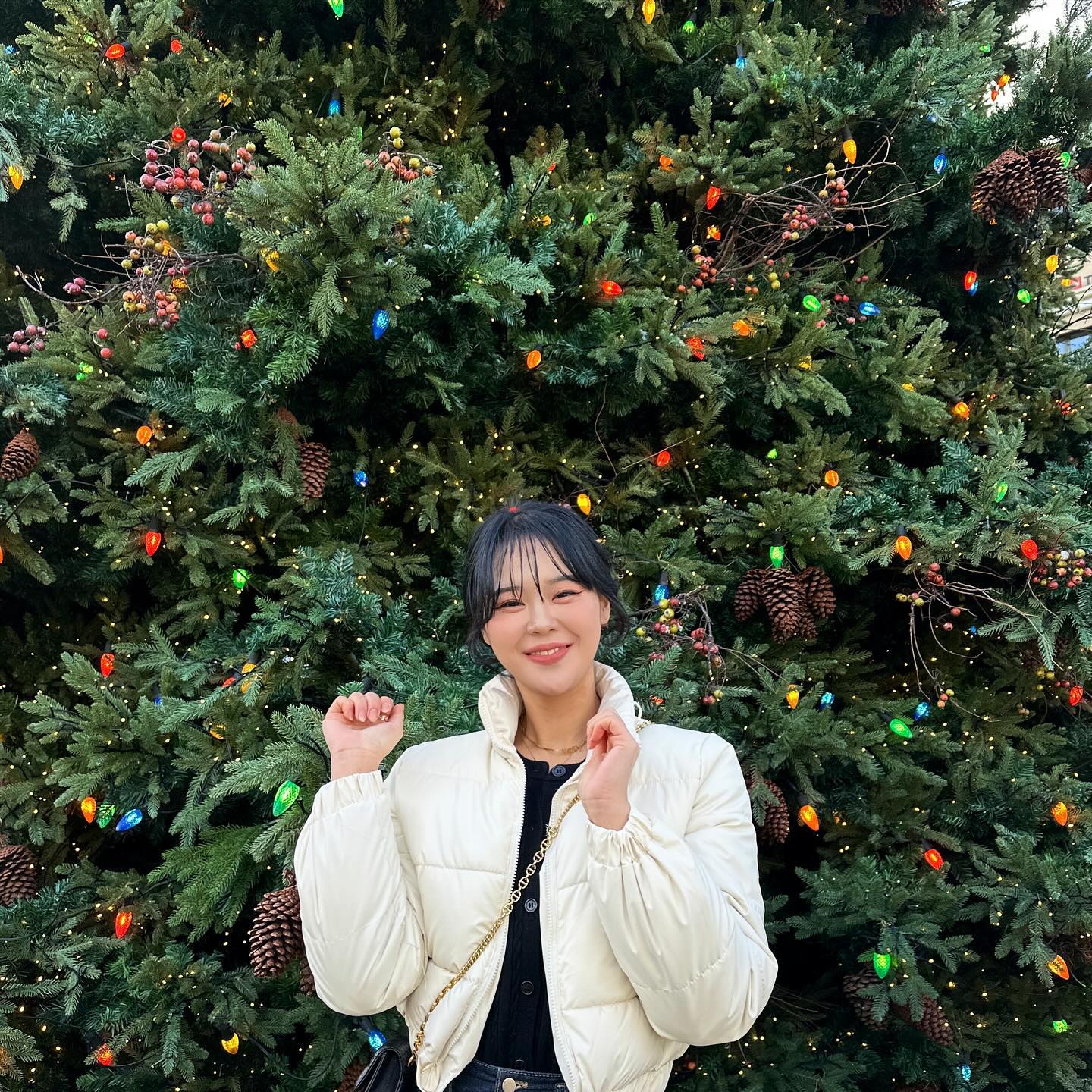 🎄🎄🎄