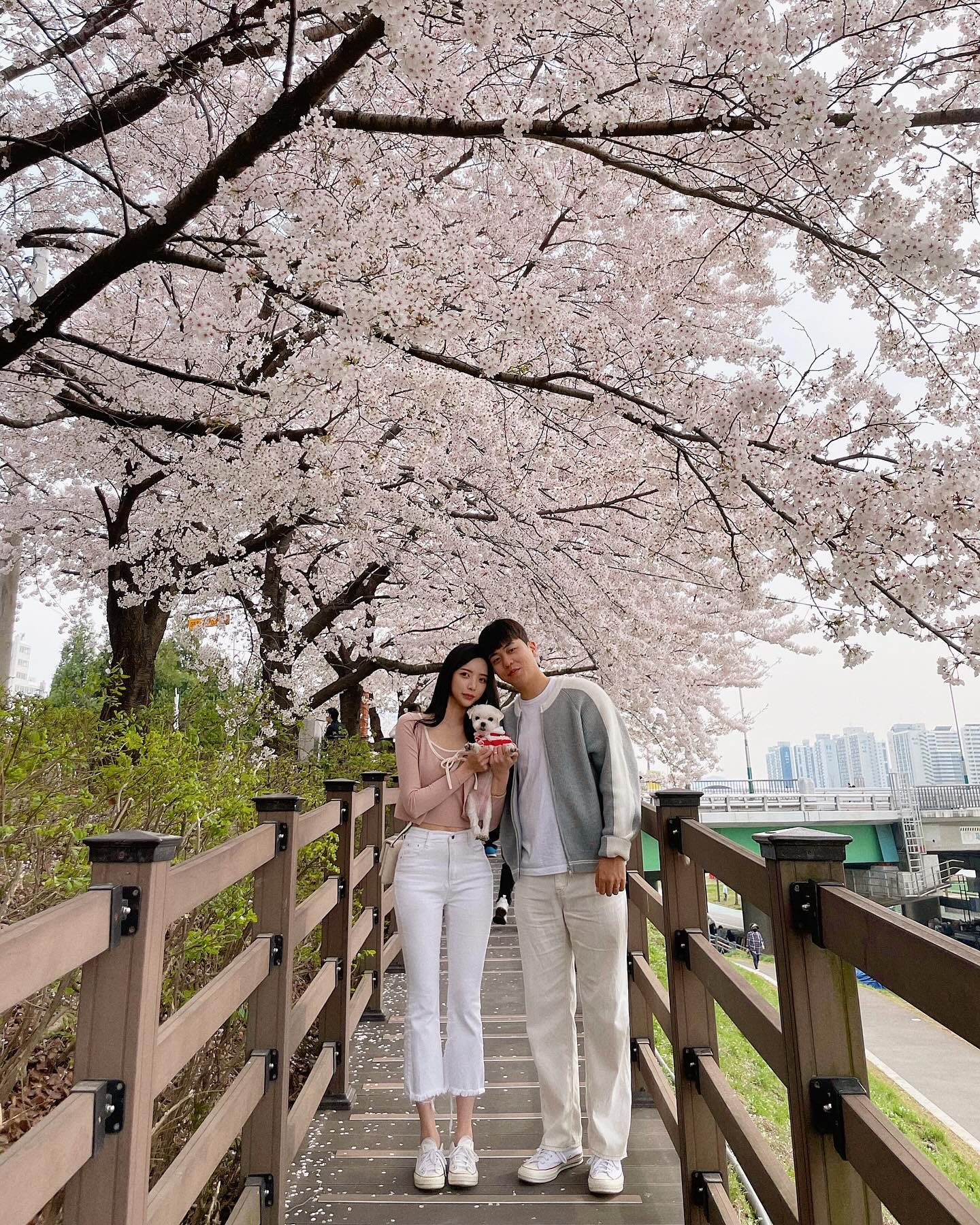 벚꽃 막차 🚌🌸
앞으로 5번 정도 더 올려도 될까요
어차피 허락 받는건 아니랍니다 통보랄까