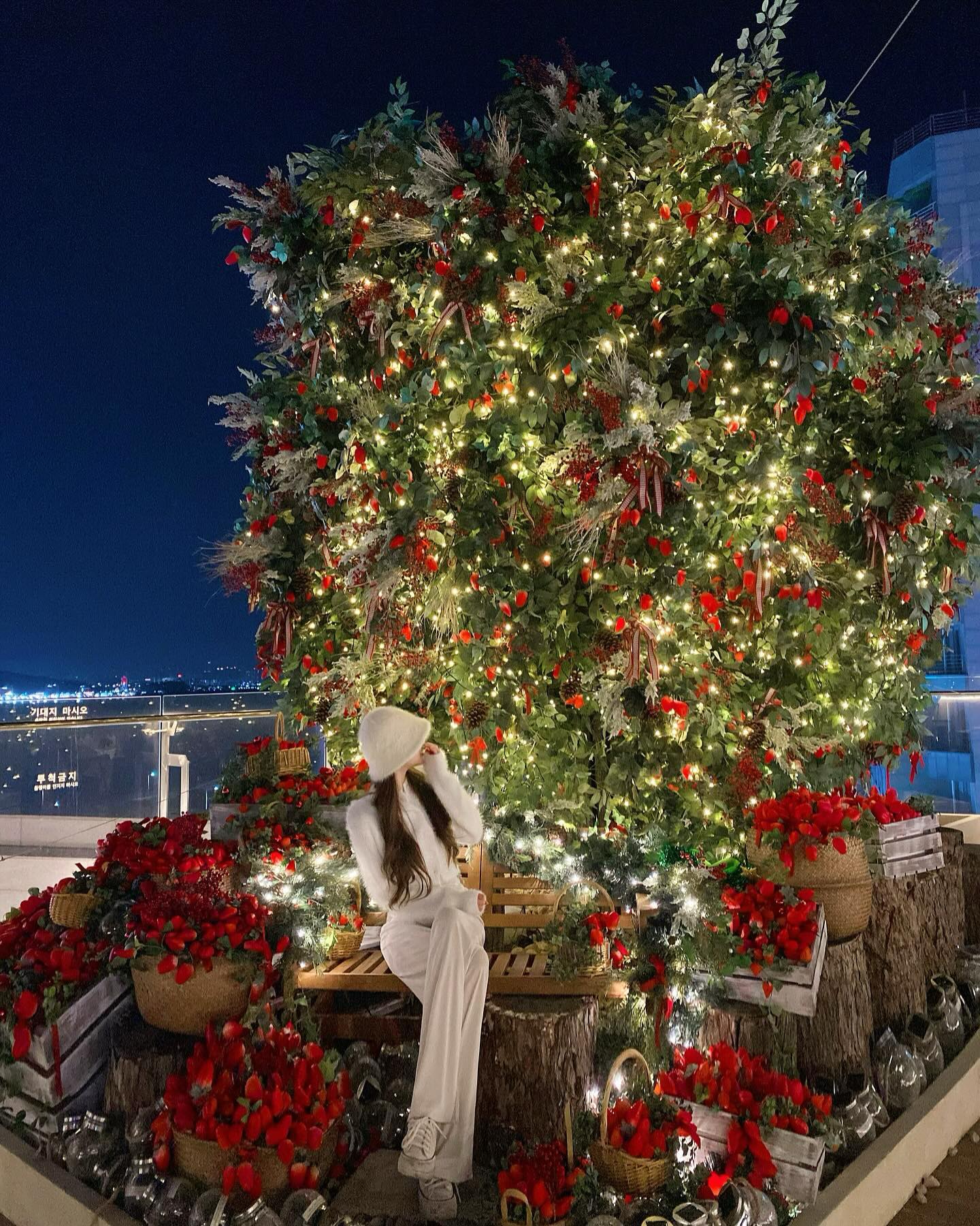 🎄🍓❤️