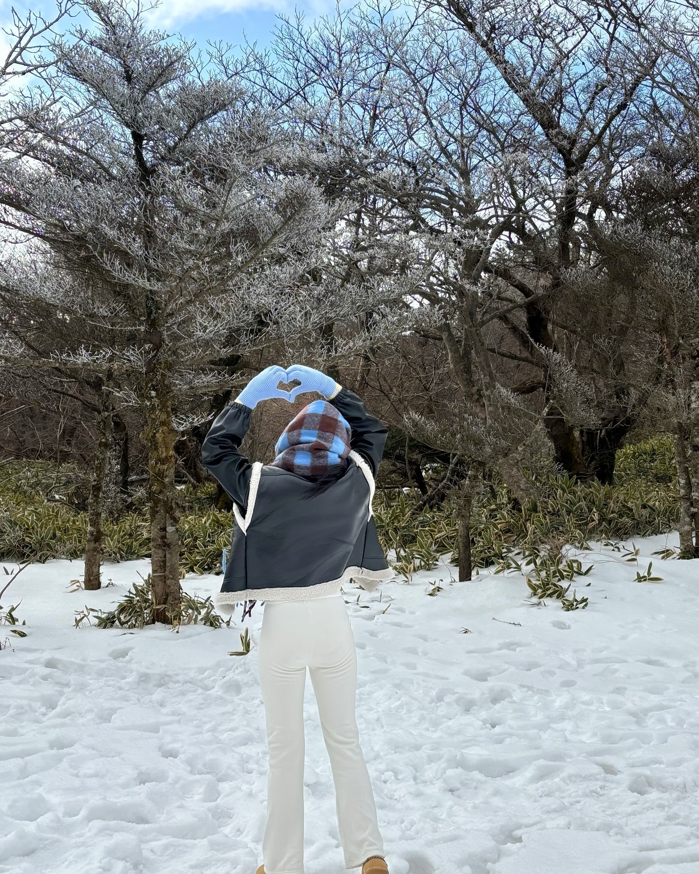 12월 제주맛☃️⛄️ 
#한라산 #제주 #천백고지 #1100고지