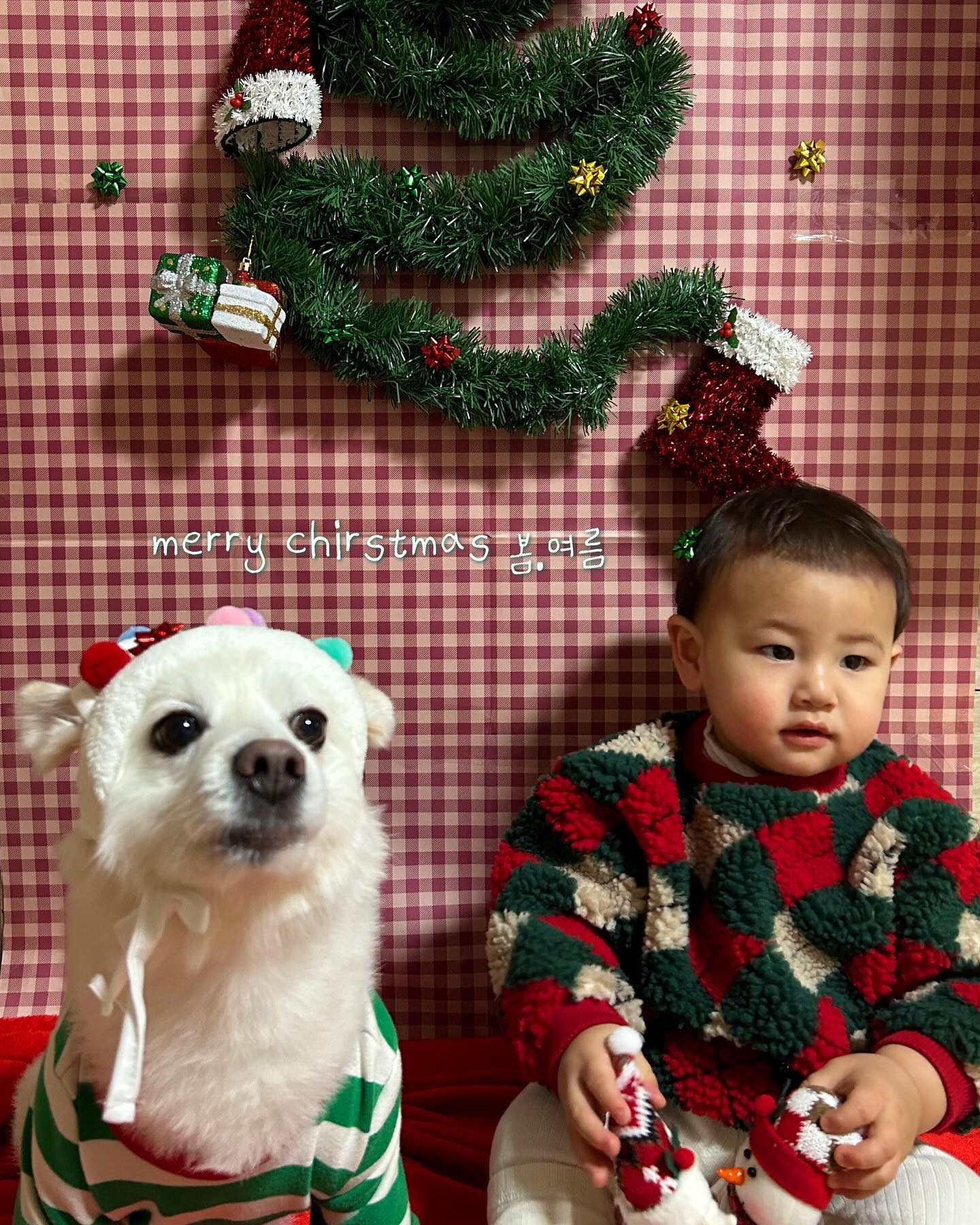 겁이 많아 아직은 동생이 무서워 도망다니는 우리 봄이🐶
겁이 없어 아무리 짖어대도 마냥 누나가 좋은 여름이(시하)👶🏻
사진 찍어주고 싶다고 말했더니 
뚝딱 스튜디오 만들어주는 금손 우리 남편 🧑🏻

사랑해 우리 가족, 메리 크리스마스 🎄 . _. 

#크리스마스 #멜크 #화이트크리스마스 #아기랑강아지 #14갤아기 #반려견 #스피츠 #육아