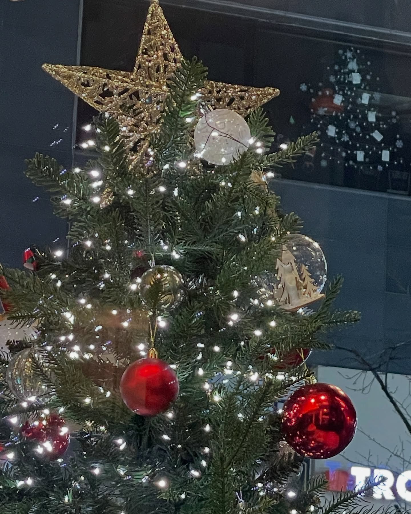24.12.15 해삐생일❄️