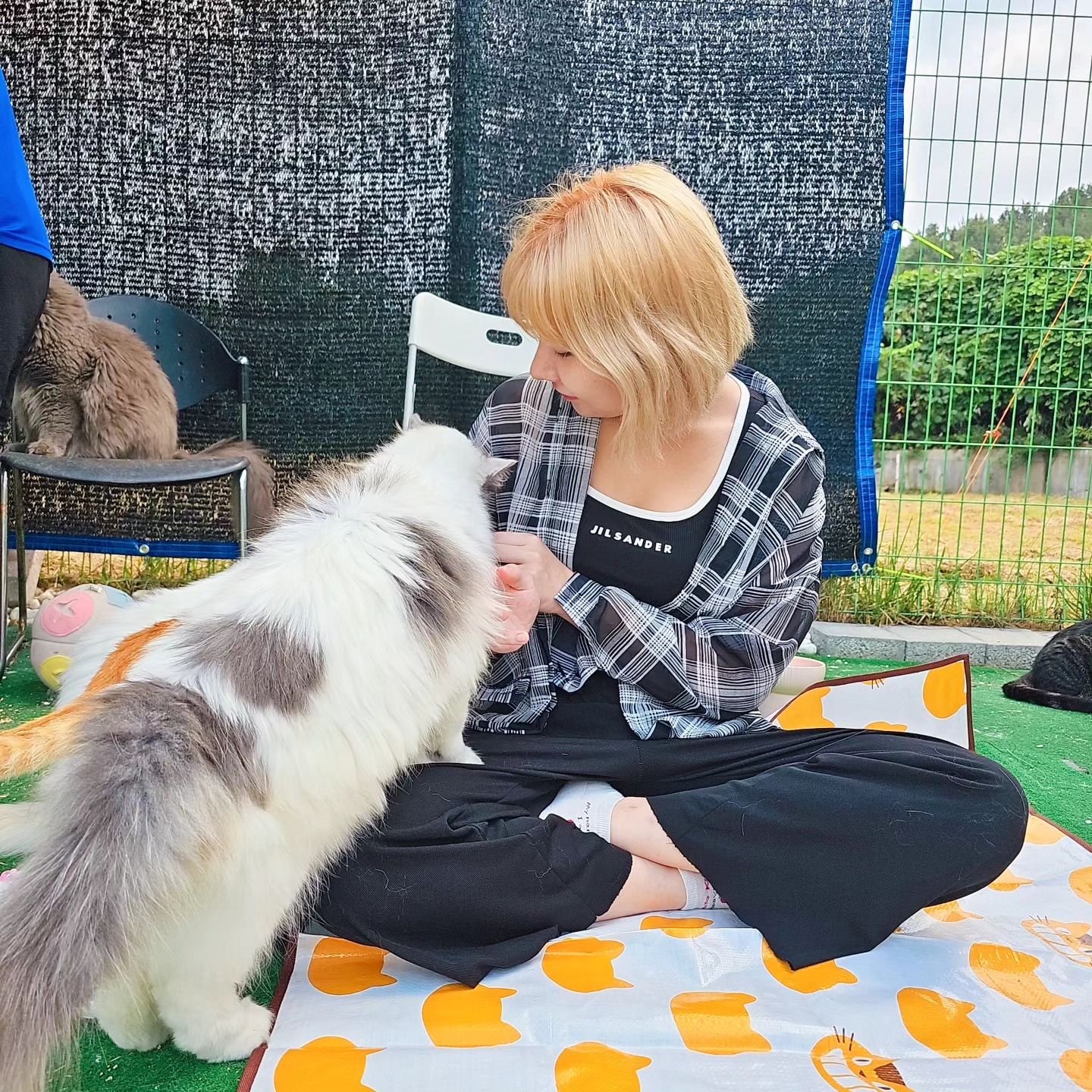 #강릉 #여행
동물 좋아! 물 좋아! 별 좋아! 수영 못 해ㅎ
동물과 자연만한 존재는 없다🤔