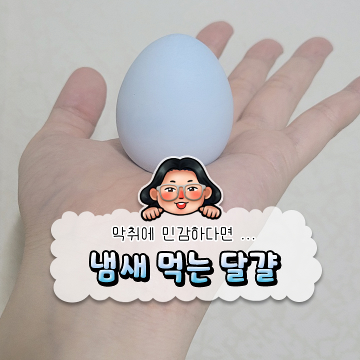 《 라이프스탠다드 냄새먹는 달걀 》 냄새에 민감한 나를 구원해준 쪼마난 달걀이 ...