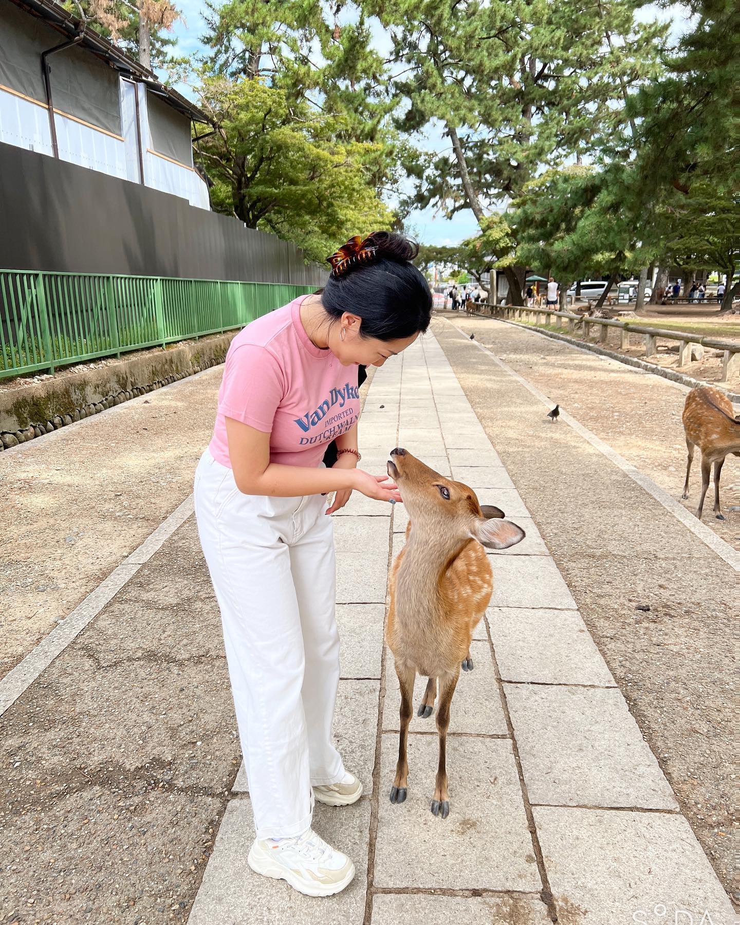 📍japan 🇯🇵
Nara - kyoto - osaka
나라에서 사슴보고
교토에서 대나무보고
오사카에서 돼지보기