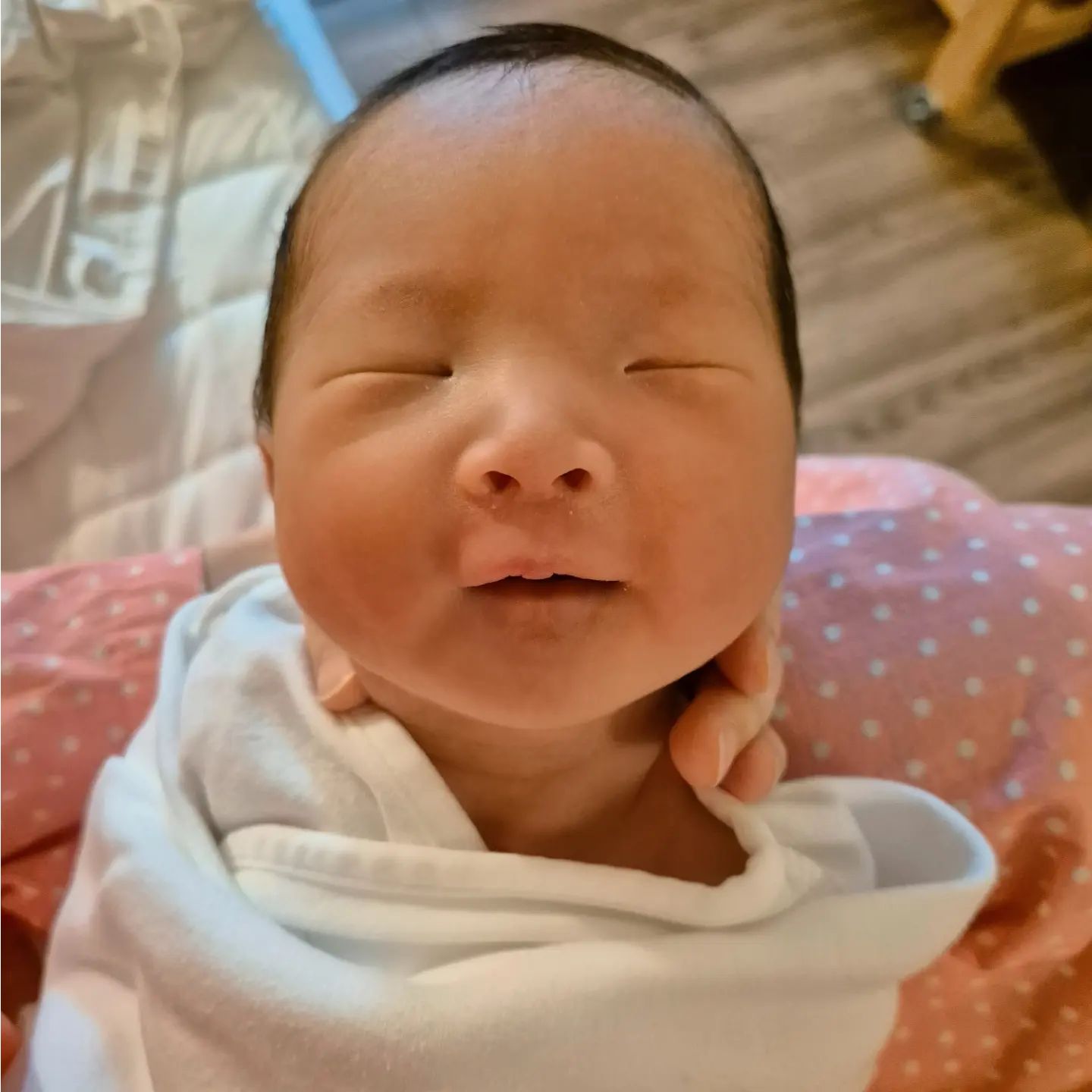 임모삼촌들 안녕하세오
태신이에오
아침에 엄마랑 분유라떼 먹고 기분이 좋아요

* 태신이 탄생을 축하해주신 많은 분들 일일이 답하지 못했지만 넘넘 감사합니다🩷

#신생아 #배냇짓