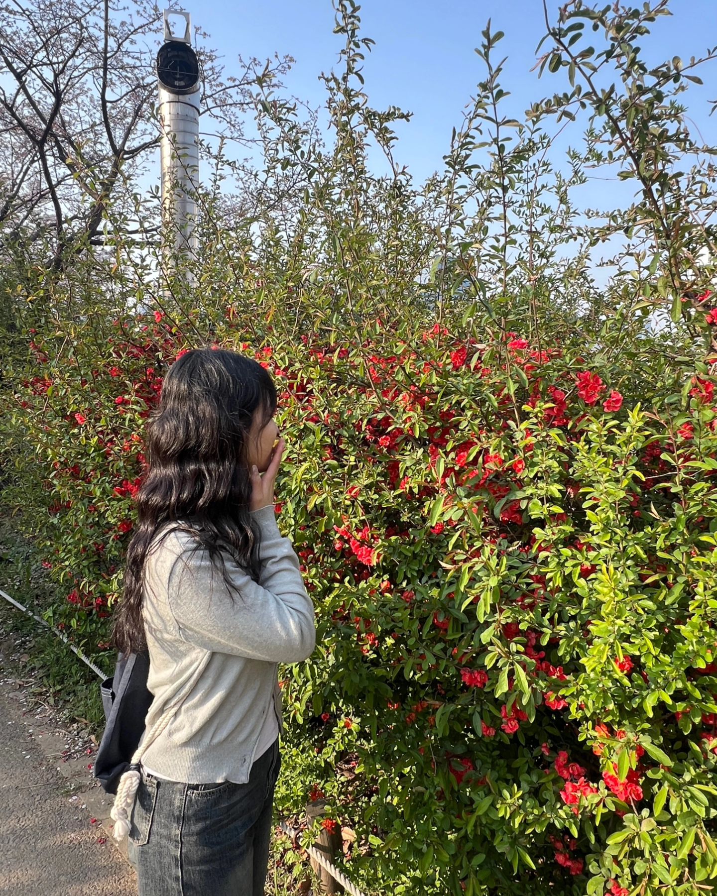 날씨 이제 완전 따뜻하네요! ☀️