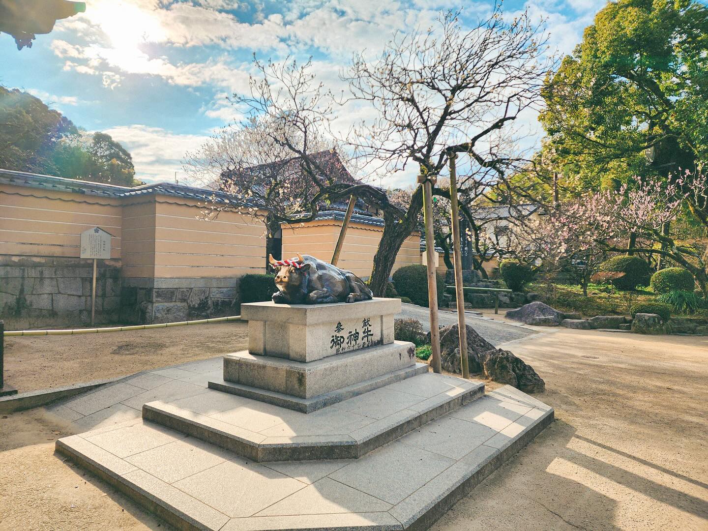 여유로운 다자이후 🤍
라쿠투어 이용했는데 빠른출발 빠른도착답게
다자이후 도착했을 때 관광객이 거의 없어서 좋았다🤭
가이드분도 엄청 재밌었음👍🏻
⠀⠀⠀