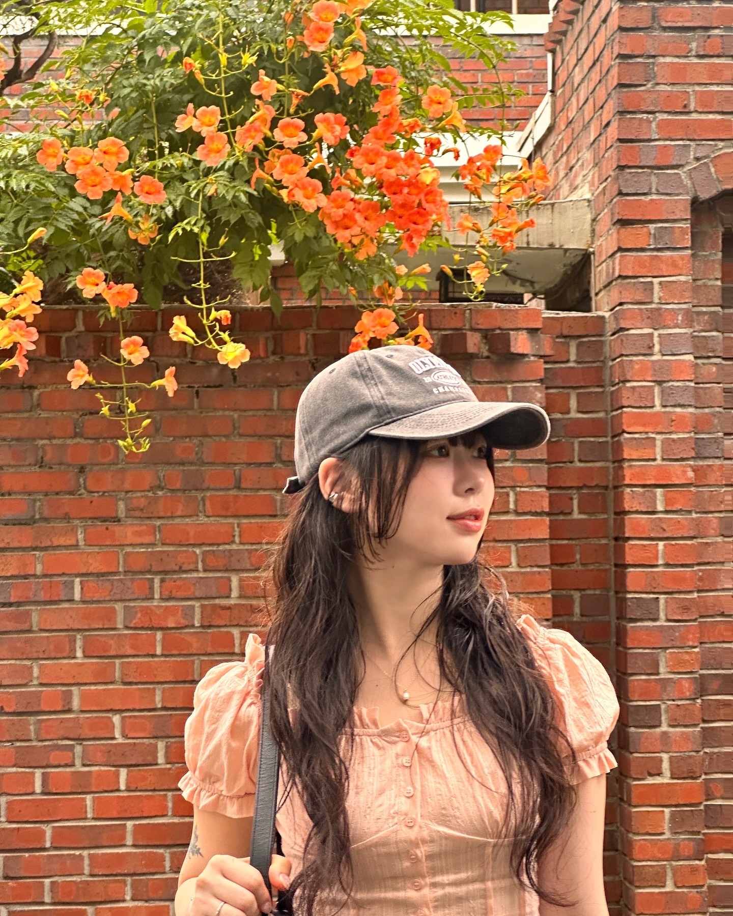 대구엔 벌써 매미가 울어요..
