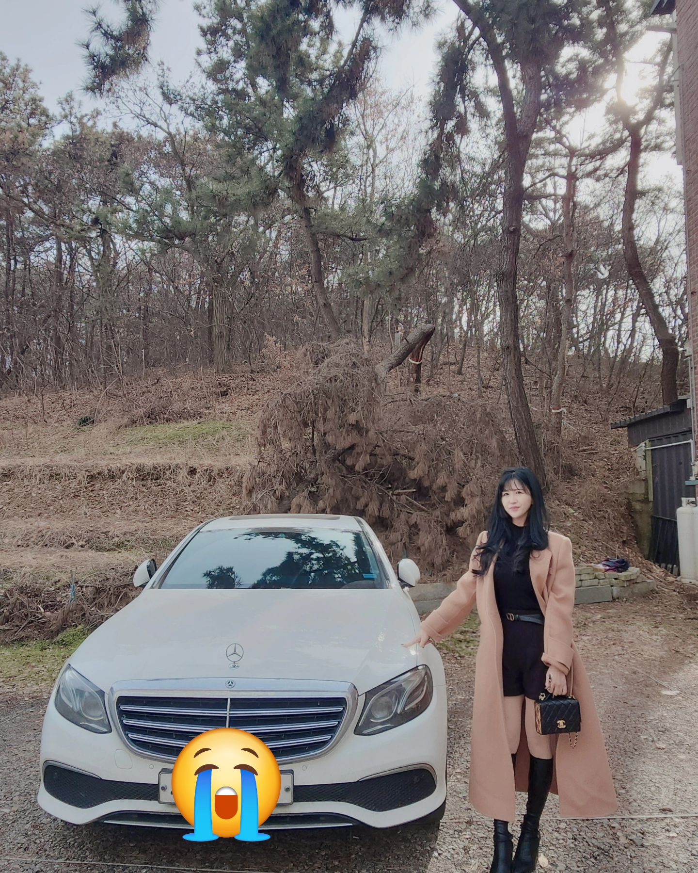 잘가, 덕분에 좋은 곳 많이 다녔어
.
좋은 주인 만나!