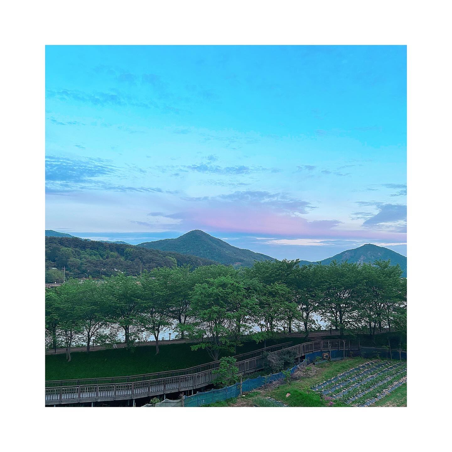:)
__
울님들께서 너무 큰 위로와 말씀들을 해주셔서 몸 둘 바를 모르겠어요 🥰 

이렇게나 좋은 분들이 옆에 계신다는 건 정말 큰 축복 중 하나입니다 ... ♥ 

오빠 생일날 먹으려 했던 소고기를 못 먹어서 어제 소고기로 기력보충하고, 

카페 가서 콧구멍에 바람도 좀 쐬면서 마음을 다스렸답니다 ... 하하하

울님들께서 해주신 말씀들을 마음에 새기면서 생각을 좀 정리한 후 - 

오빠와 어떤 방법이 좋은 방법인지에 대해 얘기를 해보았어요 .. ㅎㅎㅎ

오빠는 인공수정을 시작을 하게 되면 내 몸이 더 힘들어질까 봐 걱정했대요..

혹시나 만약에 실패하게 되면 내 멘탈이 더 무너지고 스스로 자책하게 되고 

지금보다 더 지치고 힘들어질까 봐 그게 너무 걱정이 돼서 그랬다 하더라고요

근데 맞는 말이에요... ᄏᄏᄏᄏ 지금도 멘탈케어 제대로 못하는데 ... 하하하

만약 실패하면 저 더 무너질걸요..? 근데 실패부터 생각하는 게 문제 아닌가? 

그래서 그건 그때 가서 생각하고 지금은 딱 임신에 대해서만 생각하고 싶다!

라고 말했고, 그럼 인공수정하려면 혼인신고가 되어있어야 하는데 

저희는 아직 혼인신고가 안되어잇거든요ㅋㅋ 그래서 자임시도 한번 더..! 

오빠가 제 걱정을 많이하고 있었네요 😅 말을 안해서 몰랐지 이 사람아 ...

병원에서도 혼인신고하고 하는게 좋다해서 자임 한번 더 해보고 , 

다음달에 인공수정 시도해보자하더라구요! 뭐 너무 걱정 안하려구요 ⁽̨̡ ¨̮ ⁾̧̢ 

그래서 배란유도제 처방 받아왔어요! 아 이번에는 진짜 안 잃어버려야지 ....

울님들께서 해주신 말씀들을 생각하고 또 생각하면서 어제를 지냈어요 😀 

마음이 한 결 편해지구 , 생각이 많이 정리가 되었답니다! 감사합니다 ❤ 

생각은 정리가 되었는데 말은 정리가 안 되어서 또 길어졌네요 .. 하하