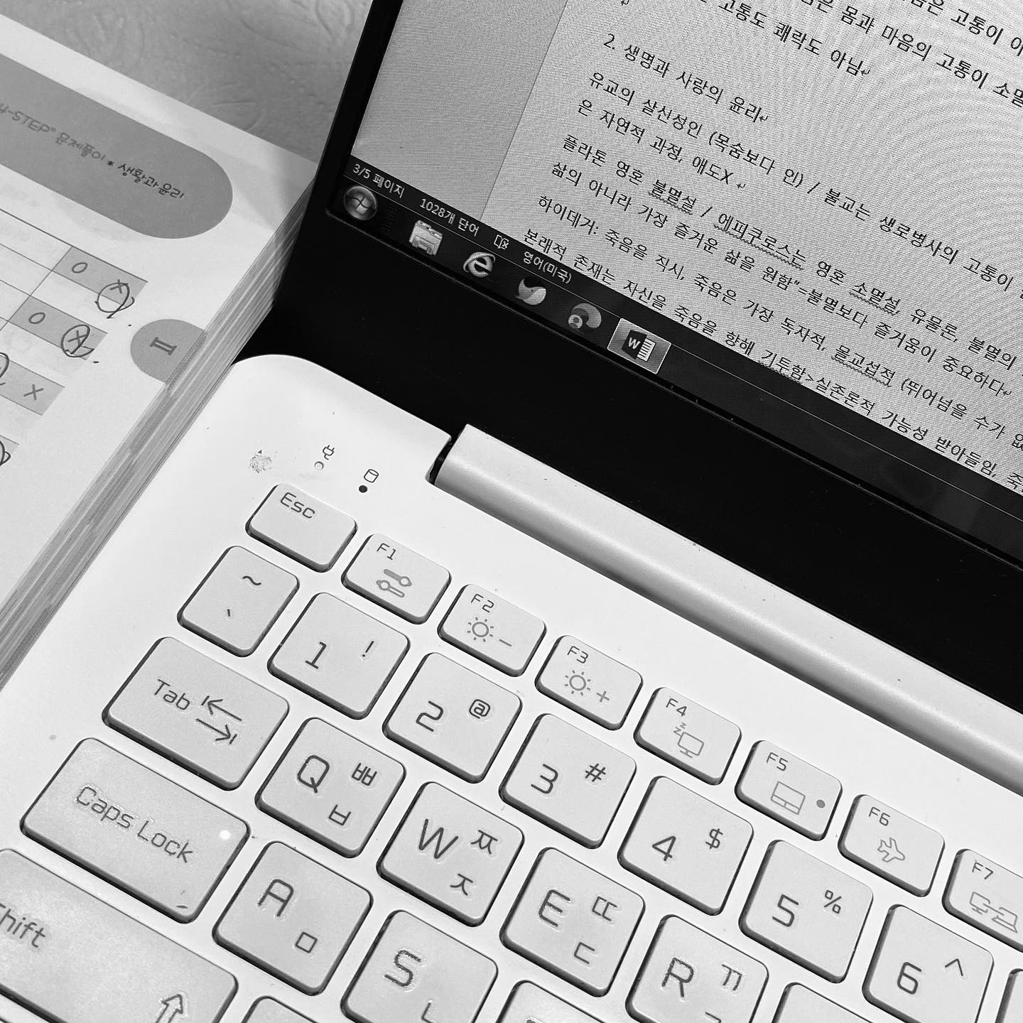 하 미리해둘걸 개고생