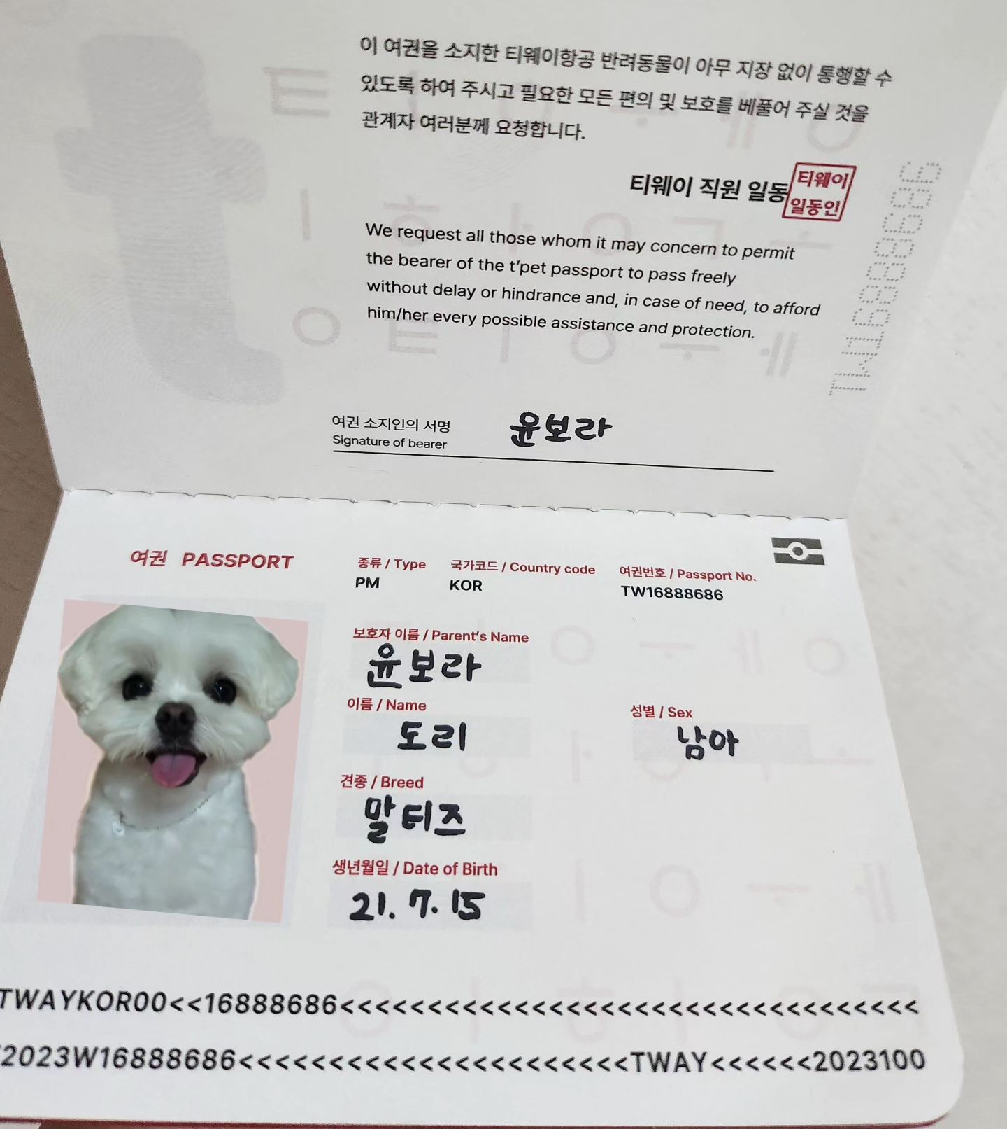 엄마만 여권있엉?
도리도 여권 나왔다구 ❤️
앞으로 비행기는 티웨이만 탈거야,,😛❣️

#티웨이항공#티펫#펫포스트#강아지여권
#제주강아지#강아지랑여행 #보라돌이